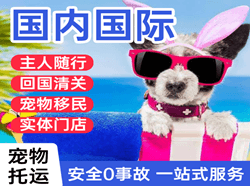 杭州机场快递国际宠物托运 【国